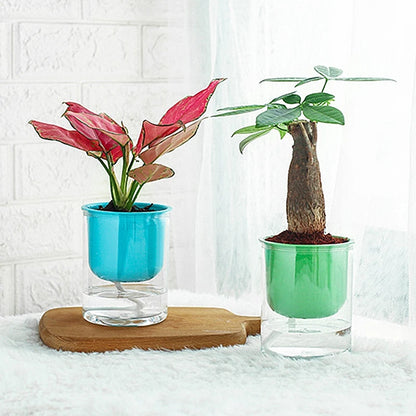 Transparent Flower Pot