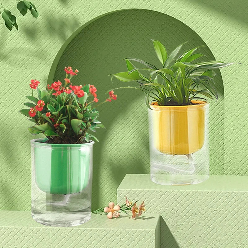 Transparent Flower Pot