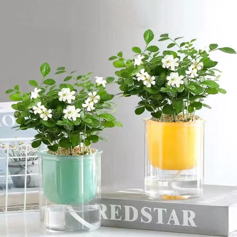 Transparent Flower Pot