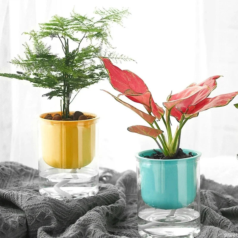 Transparent Flower Pot