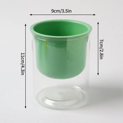 Transparent Flower Pot