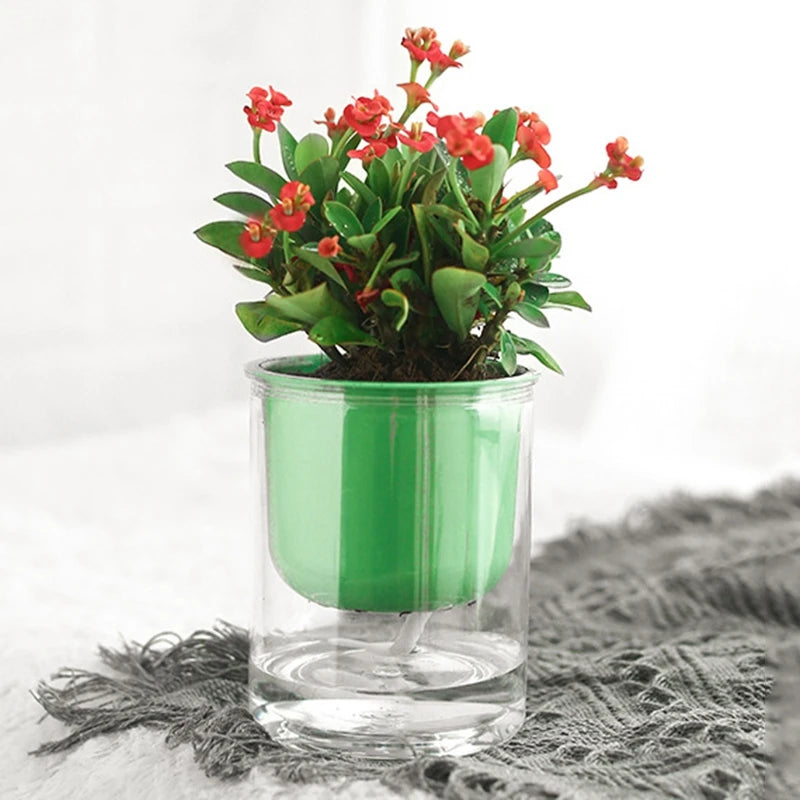 Transparent Flower Pot