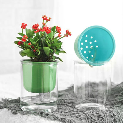 Transparent Flower Pot